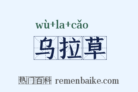 乌拉草是什么意思的图片